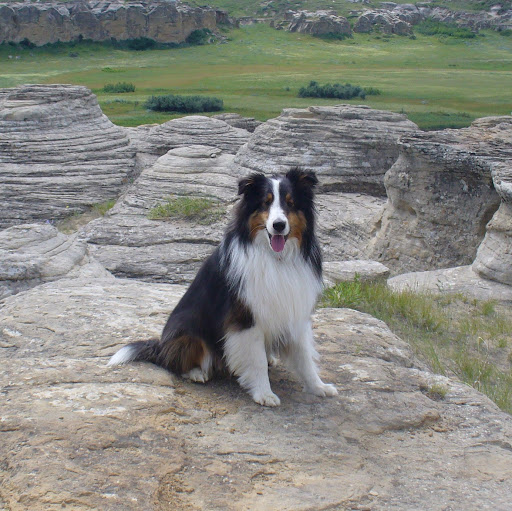 Christina Hastings Photo 16