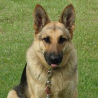 Theresa Cann Photo 4