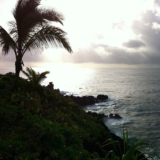 Stephanie Gould Photo 39