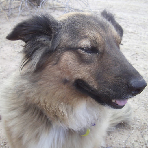 Tracy Swoboda Photo 1