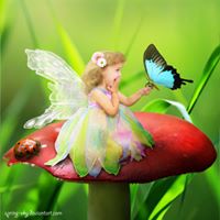 Shannon Hein Photo 13