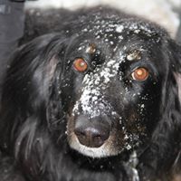 Kristen Pruitt Photo 10