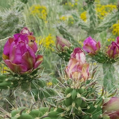 Jill Harvey Photo 22