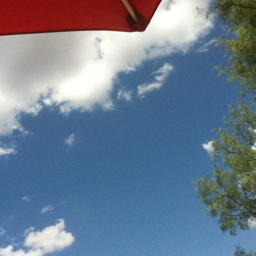 Crystal Callahan Photo 26