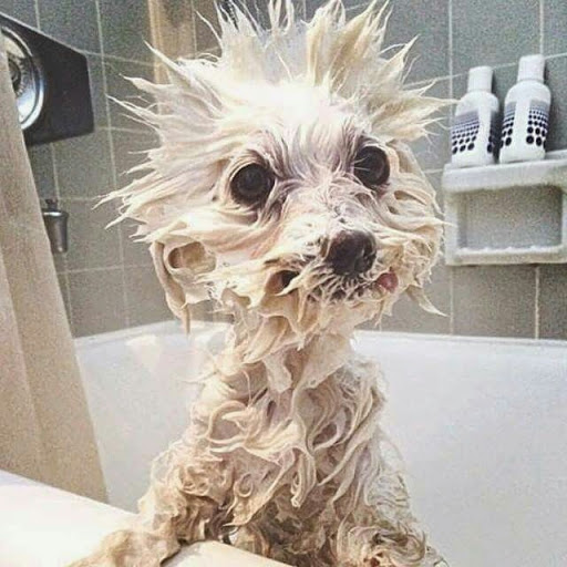 John Goss Photo 47 John Goss Photo 47