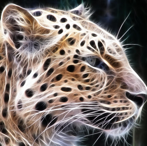 John Rupp Photo 33