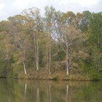 Elizabeth Banks Photo 19