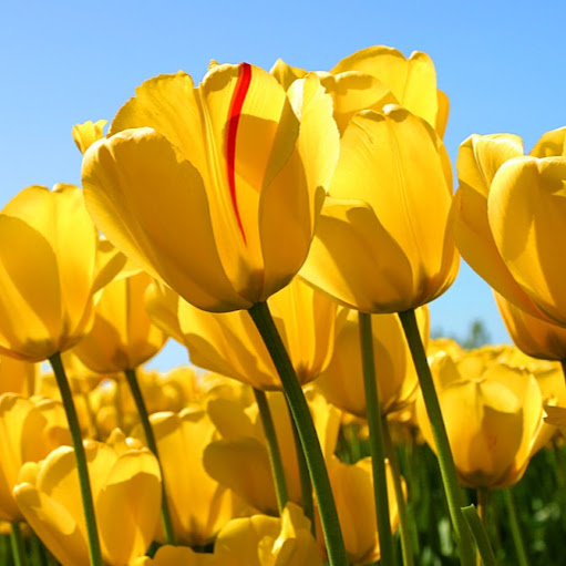 Ruth Molina Photo 18