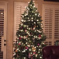 Jennifer Moen Photo 10