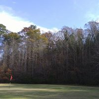 Mark Sparkman Photo 8