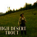 Tim Trout Photo 12