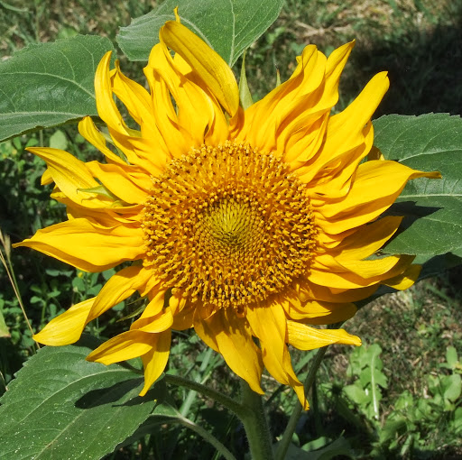 Kathy Riley Photo 29