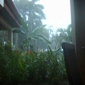 Julia Mcgowan Photo 28