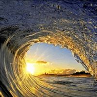 Michele Mccaslin Photo 2