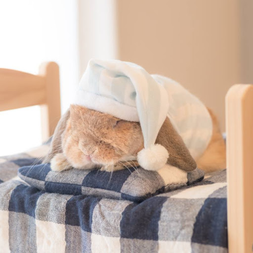 James Jacoby Photo 34