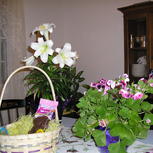 Cheryl Steiner Photo 11