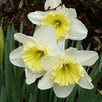 Sally May Photo 28