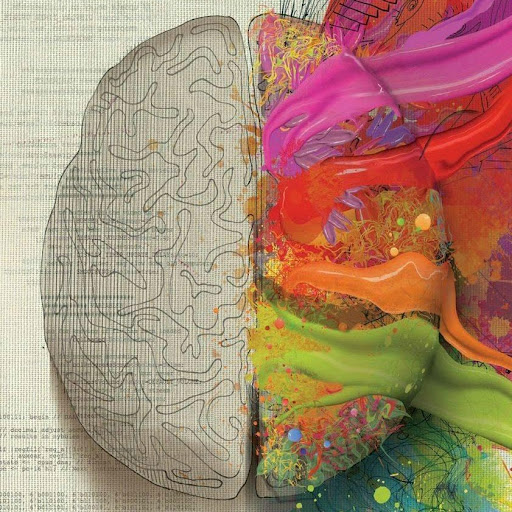 Mohammed Hassan Photo 39