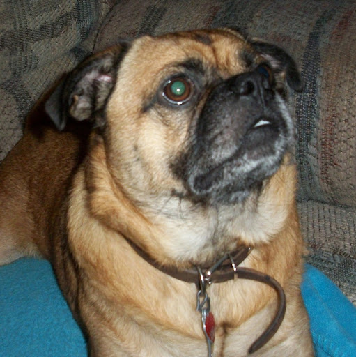 Linda Kemper Photo 6