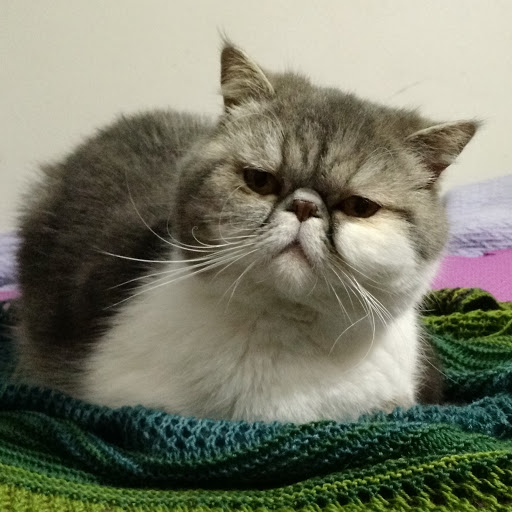 Denise Murray Photo 7