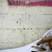 Chip Richardson Photo 19