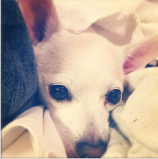 Stephanie Beatty Photo 9