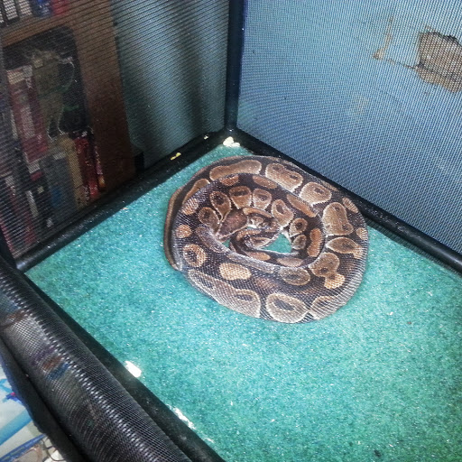 Steven Wylie Photo 3