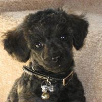 Julie Cheney Photo 33