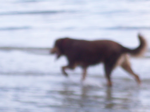 Sadie Watson Photo 12