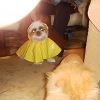 Larry Cassidy Photo 19