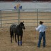 Clinton Anderson Photo 33
