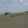 Dan Scott Photo 3
