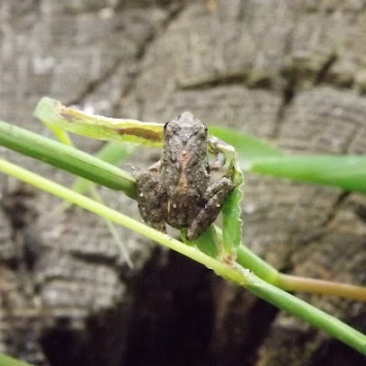 Judy Richards Photo 28