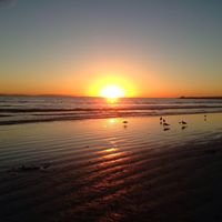 Nancy Adcock Photo 14