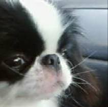 June Harding Photo 6