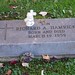 Richard Hamrick Photo 9