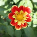 Leslie Hamilton Photo 32