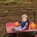 Susan Yoder Photo 9