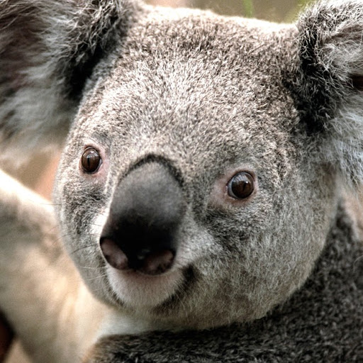 Maxine Young Photo 11