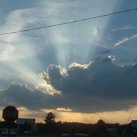 Tammy Cline Photo 14
