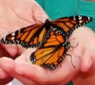 Teri Miller Photo 6 Teri Miller Photo 6