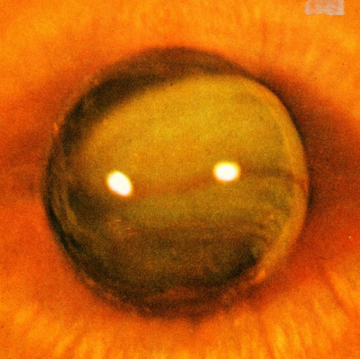 Joseph Robertson Photo 32 Joseph Robertson Photo 32