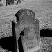 Daniel Dewey Photo 20