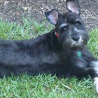 Mary Higginbotham Photo 23