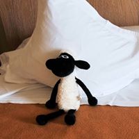 Robert Stein Photo 20 Robert Stein Photo 20