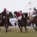 Thomas Hodges Photo 36