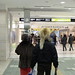David Crocket Photo 38