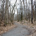 Laurie Webb Photo 29