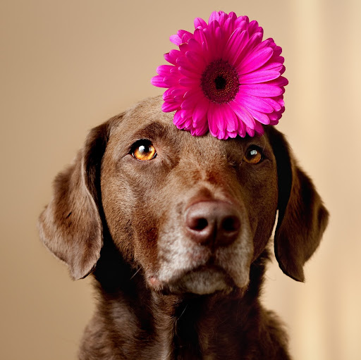 Tracy Sutherland Photo 42 Tracy Sutherland Photo 42