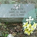Roy Burke Photo 36